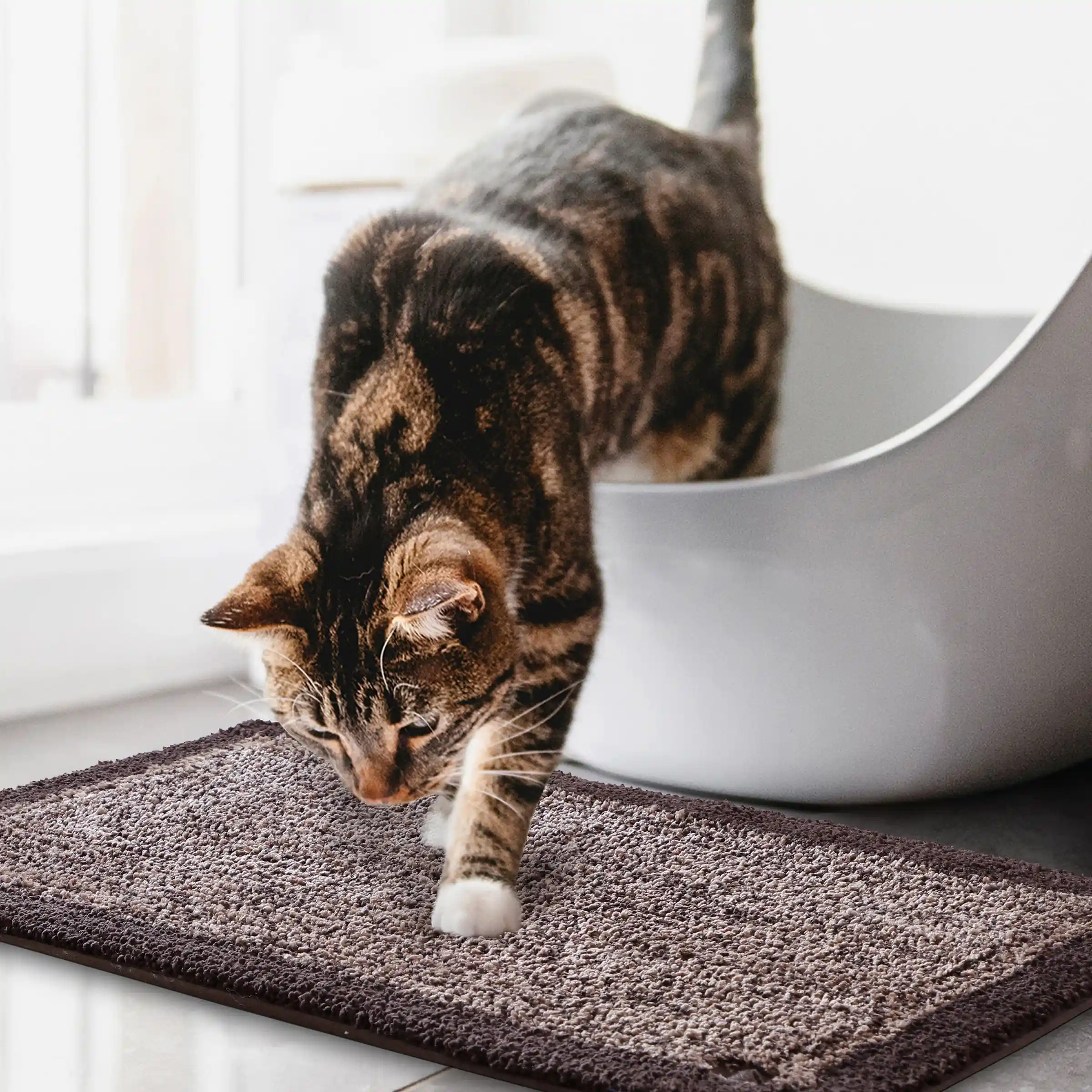 Bubble Dual Tone Mats - Thick And Plush - Image 20